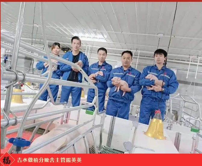 3118云顶集团(中国区)官方网站