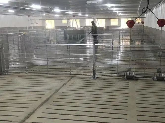3118云顶集团(中国区)官方网站