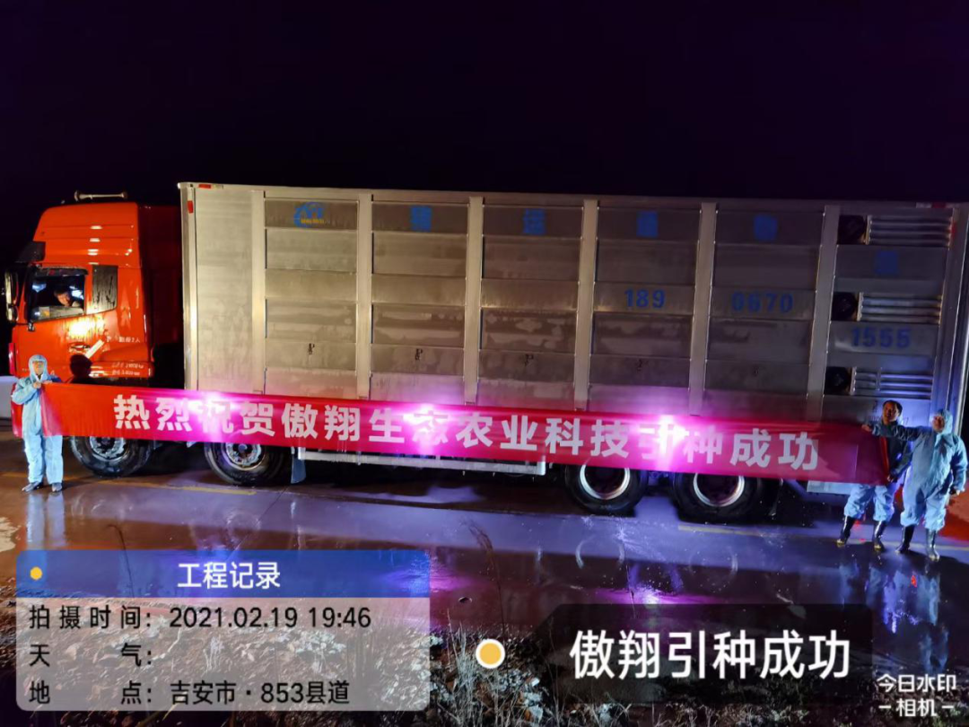 3118云顶集团(中国区)官方网站