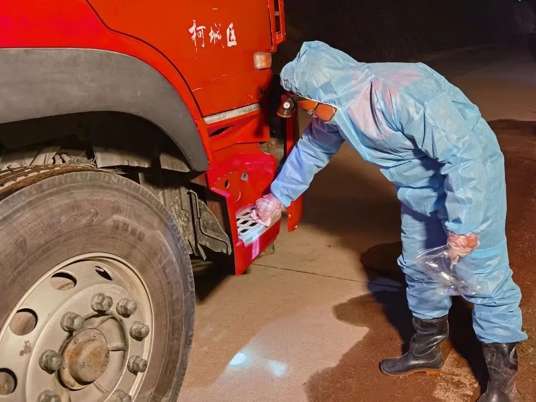3118云顶集团(中国区)官方网站