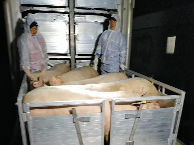3118云顶集团(中国区)官方网站
