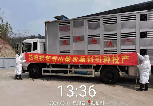 3118云顶集团(中国区)官方网站