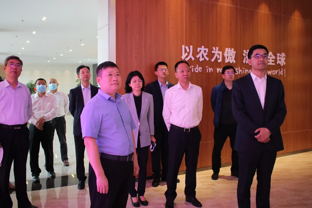 3118云顶集团(中国区)官方网站