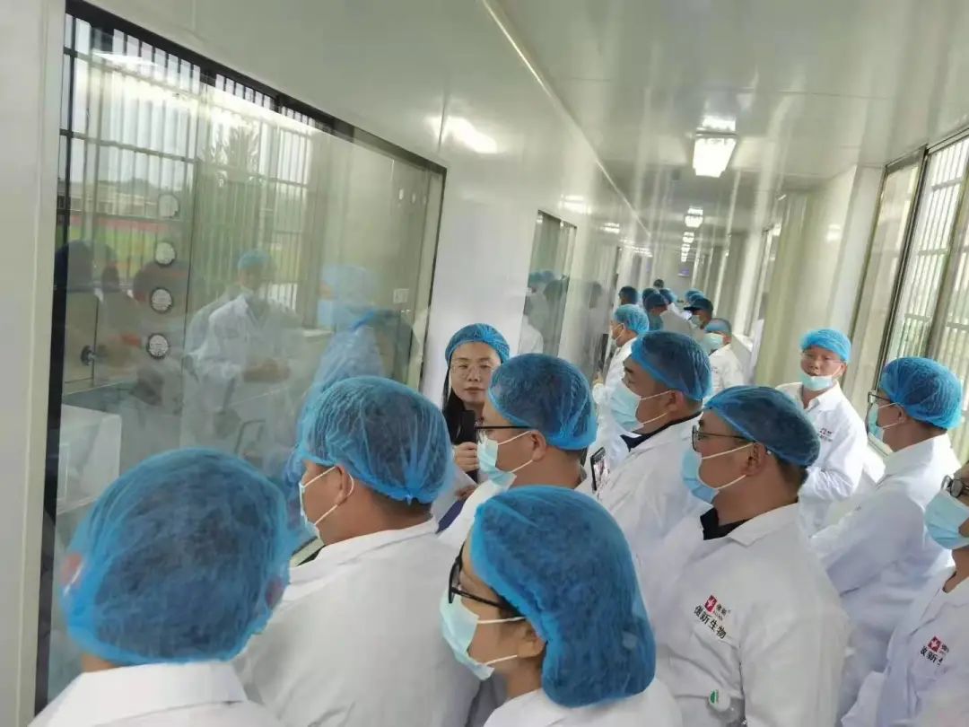 3118云顶集团(中国区)官方网站