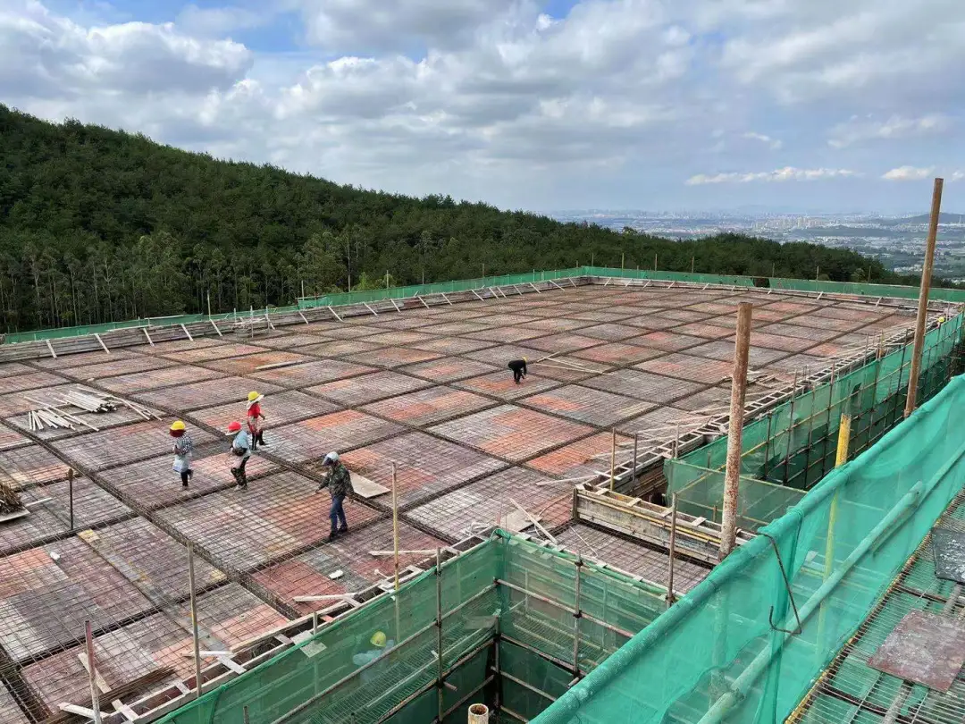 3118云顶集团(中国区)官方网站