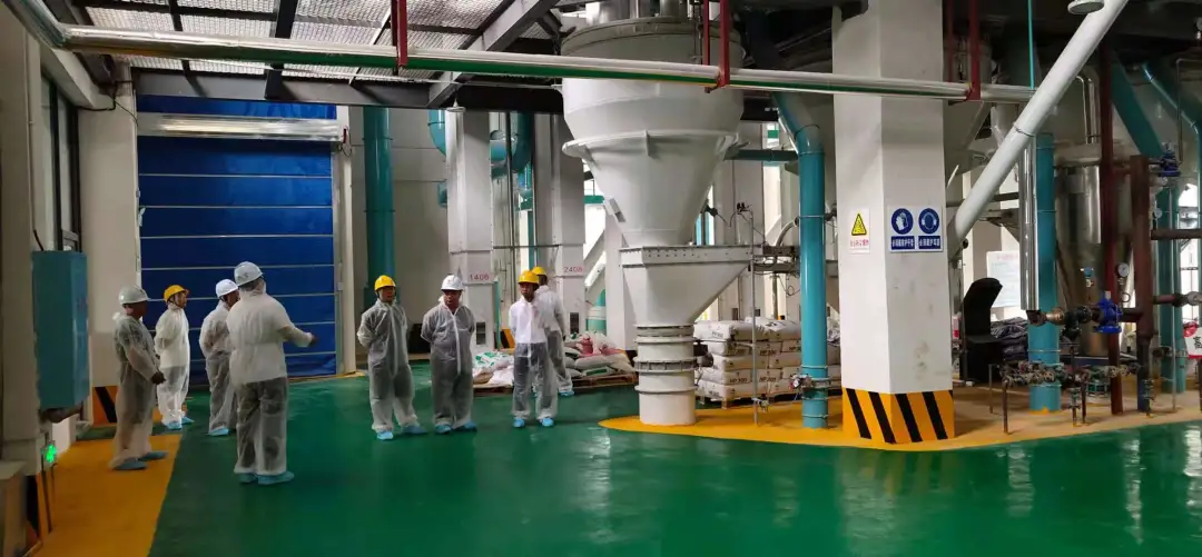 3118云顶集团(中国区)官方网站