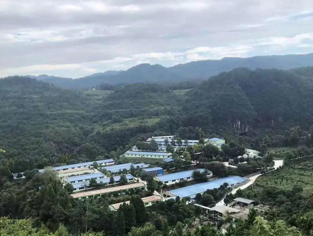 3118云顶集团(中国区)官方网站