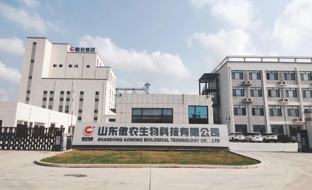 3118云顶集团(中国区)官方网站