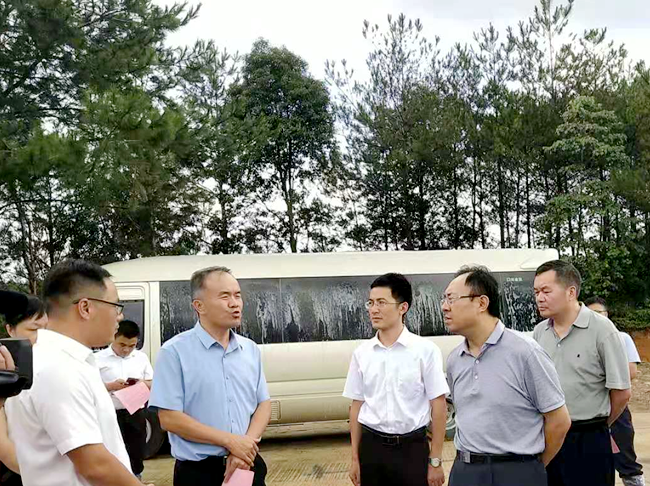 3118云顶集团(中国区)官方网站