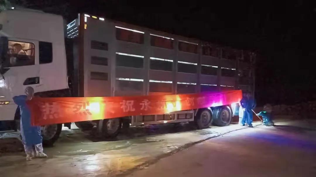 3118云顶集团(中国区)官方网站