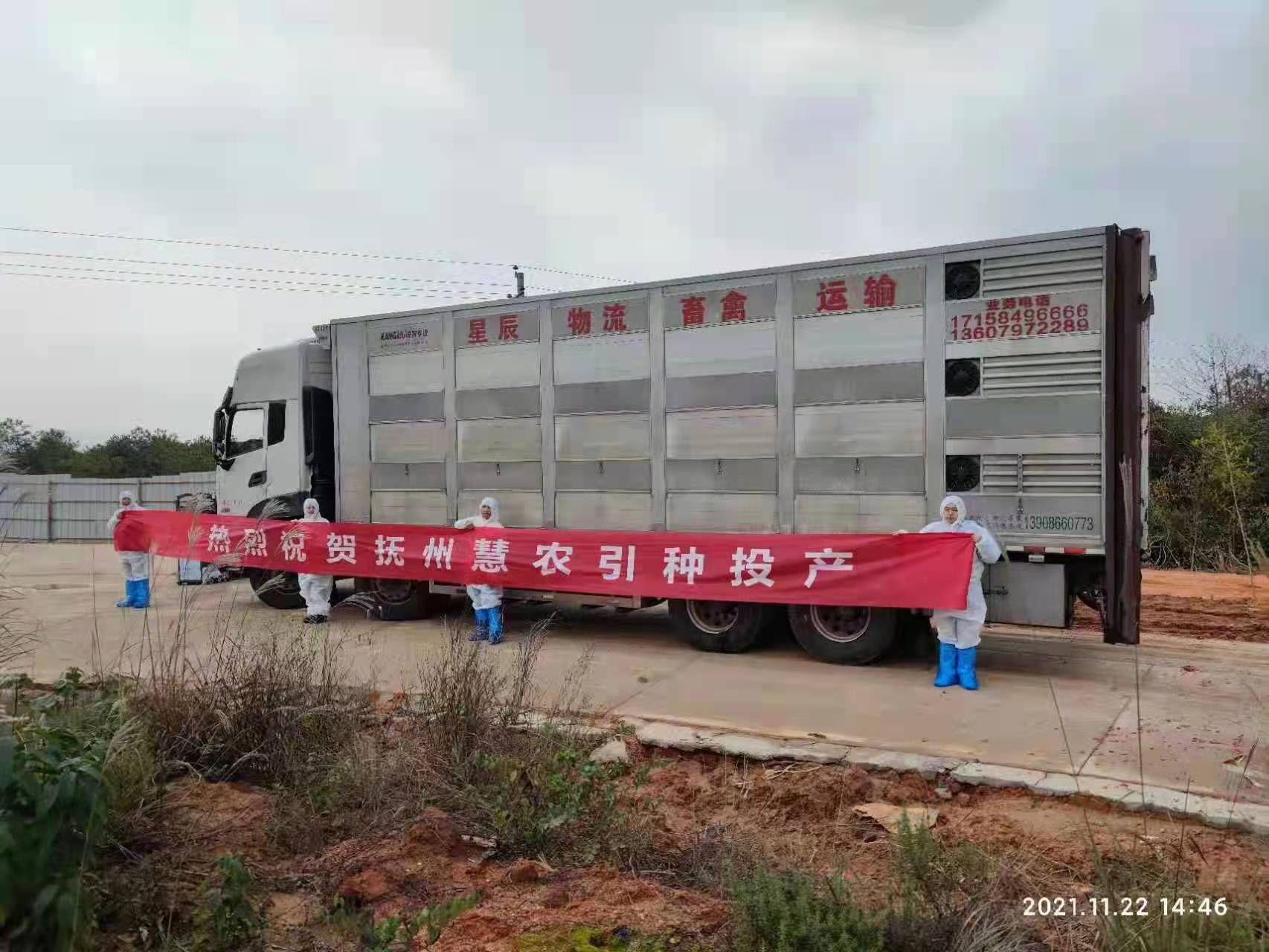 3118云顶集团(中国区)官方网站