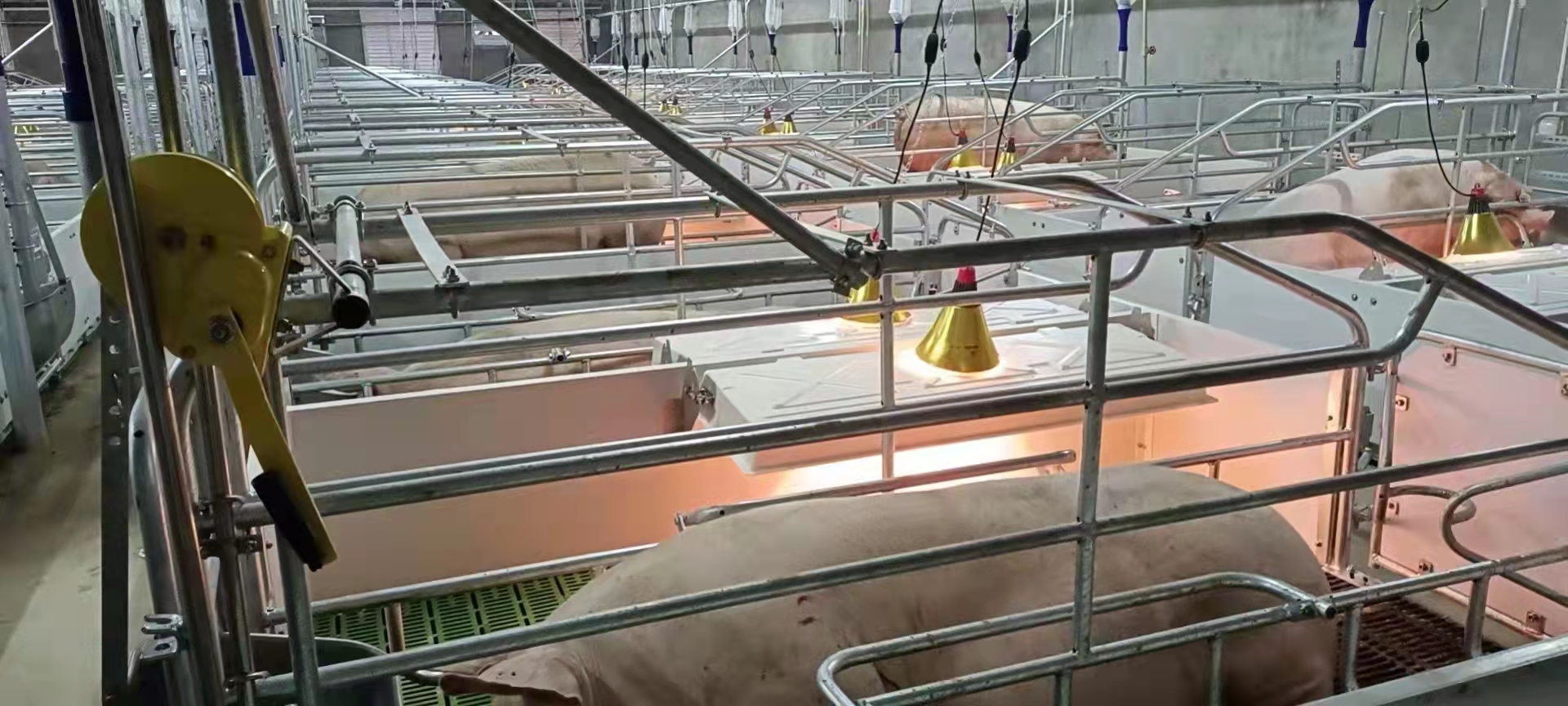 3118云顶集团(中国区)官方网站