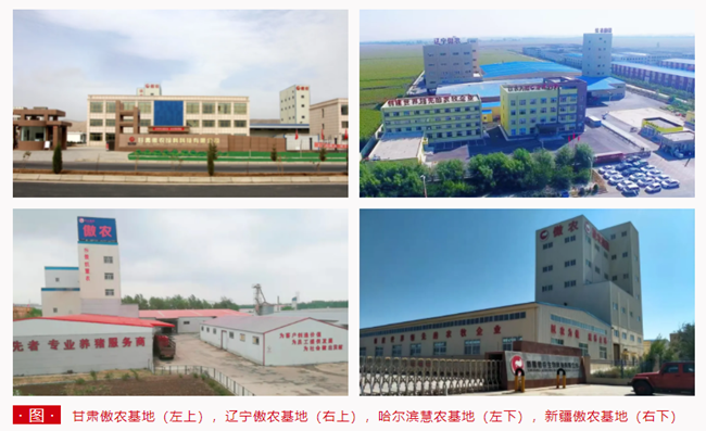 3118云顶集团(中国区)官方网站