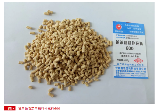 3118云顶集团(中国区)官方网站