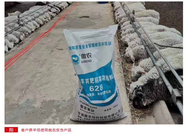 3118云顶集团(中国区)官方网站
