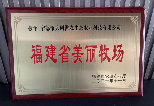3118云顶集团(中国区)官方网站