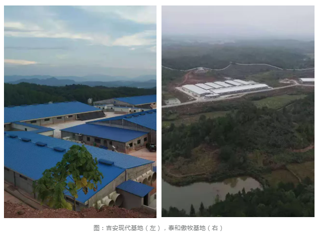 3118云顶集团(中国区)官方网站