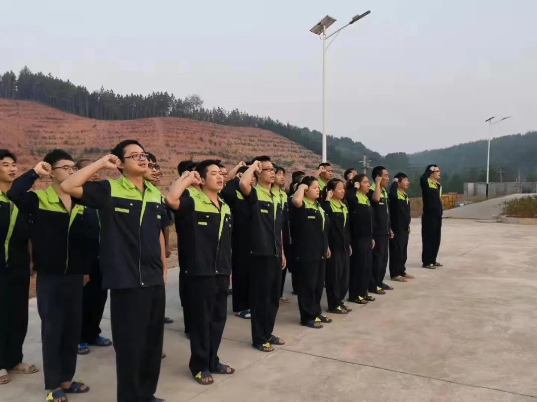 3118云顶集团(中国区)官方网站