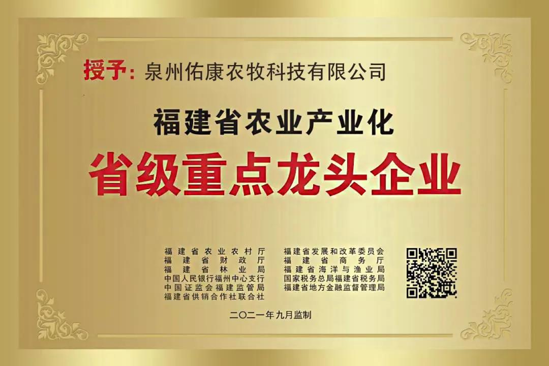 3118云顶集团(中国区)官方网站
