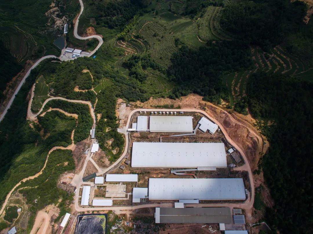 3118云顶集团(中国区)官方网站