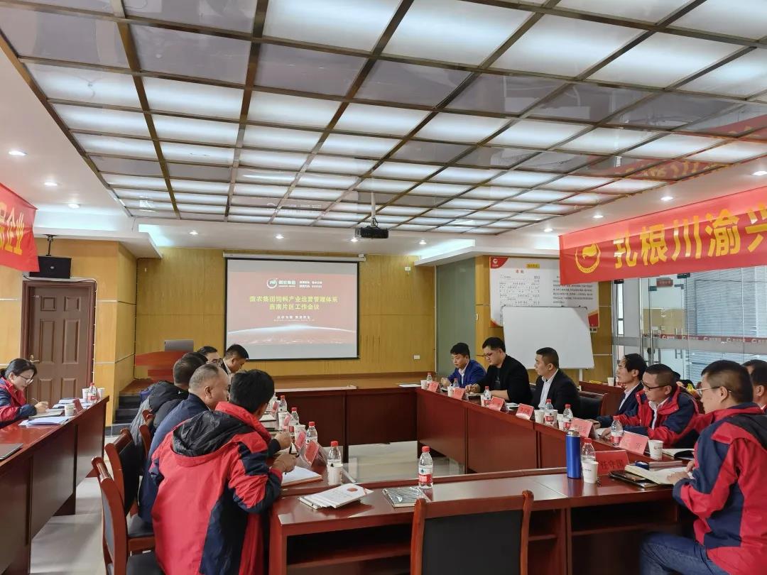 3118云顶集团(中国区)官方网站