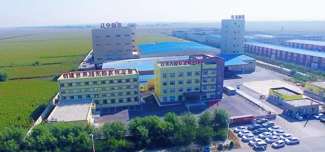 3118云顶集团(中国区)官方网站