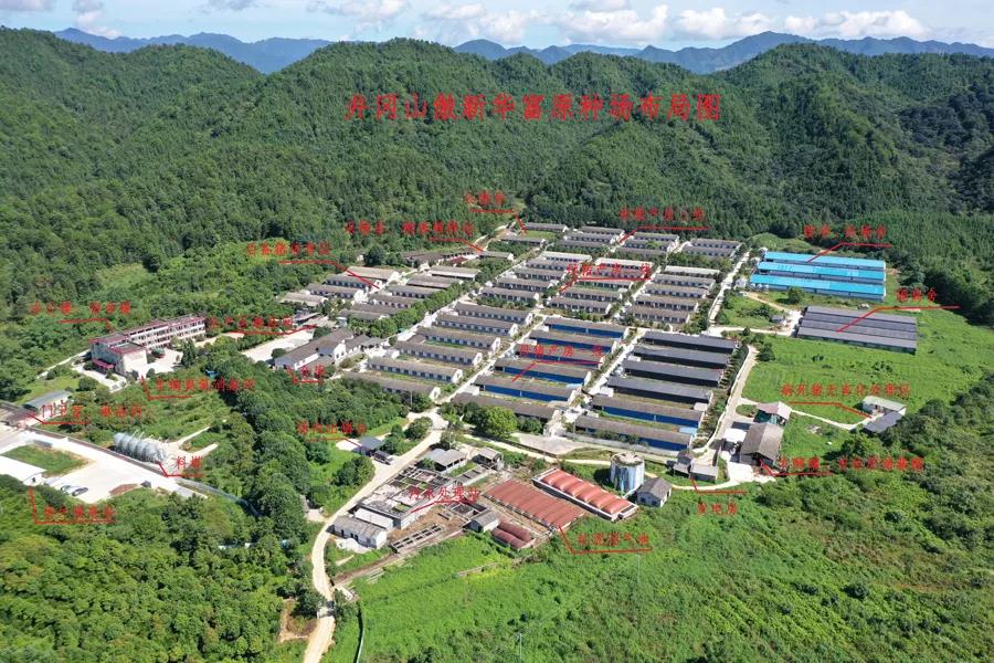 3118云顶集团(中国区)官方网站
