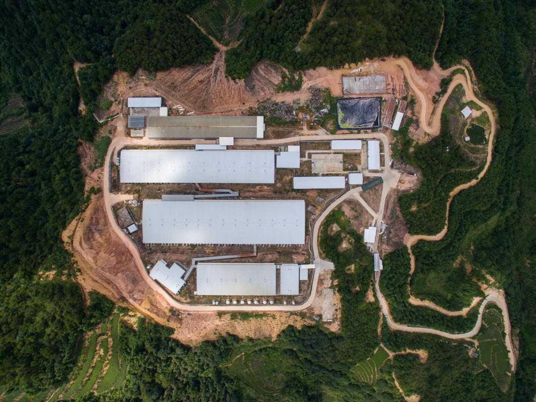 3118云顶集团(中国区)官方网站