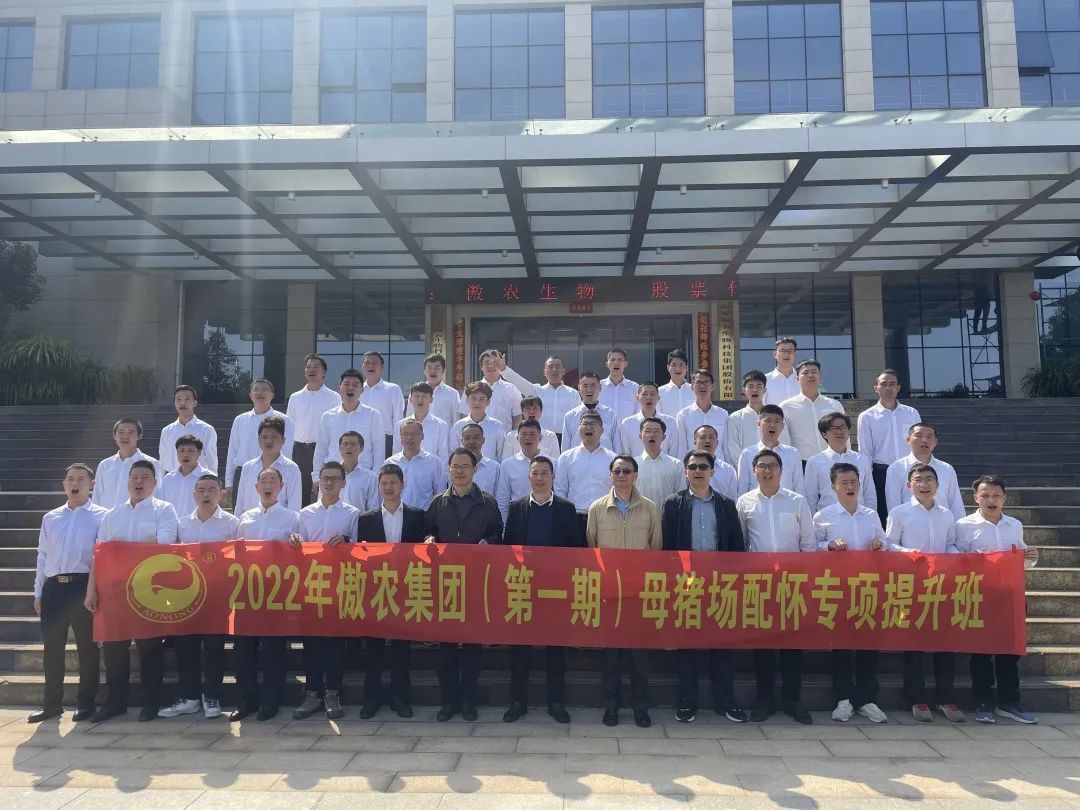 3118云顶集团(中国区)官方网站