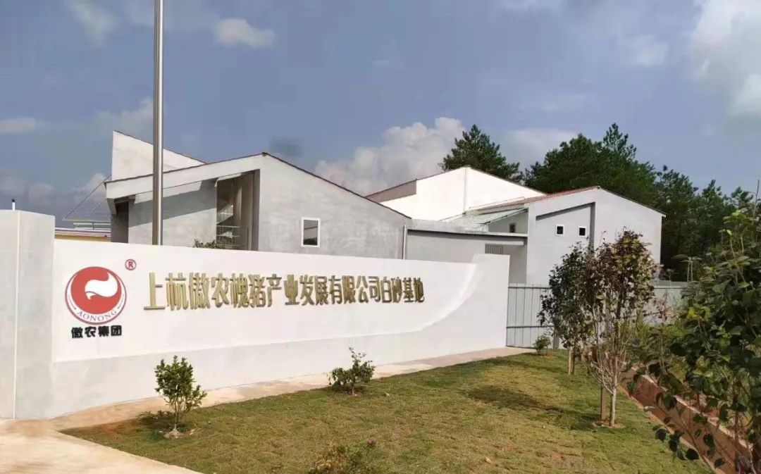 3118云顶集团(中国区)官方网站