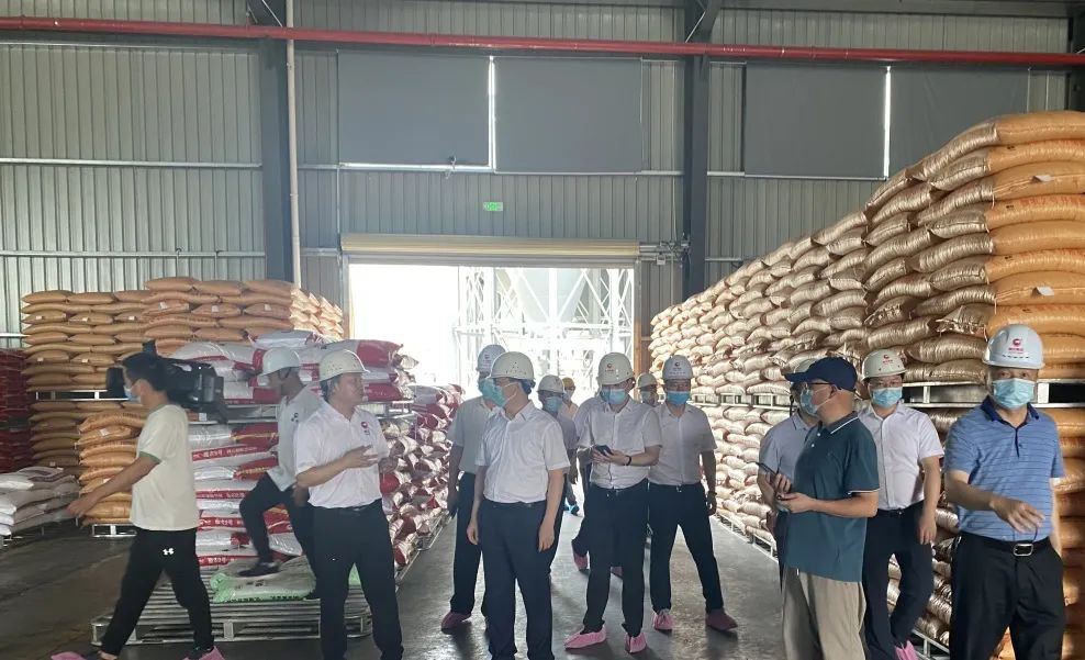 3118云顶集团(中国区)官方网站