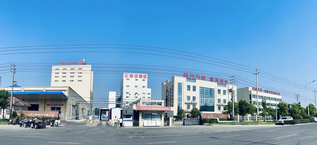 3118云顶集团(中国区)官方网站
