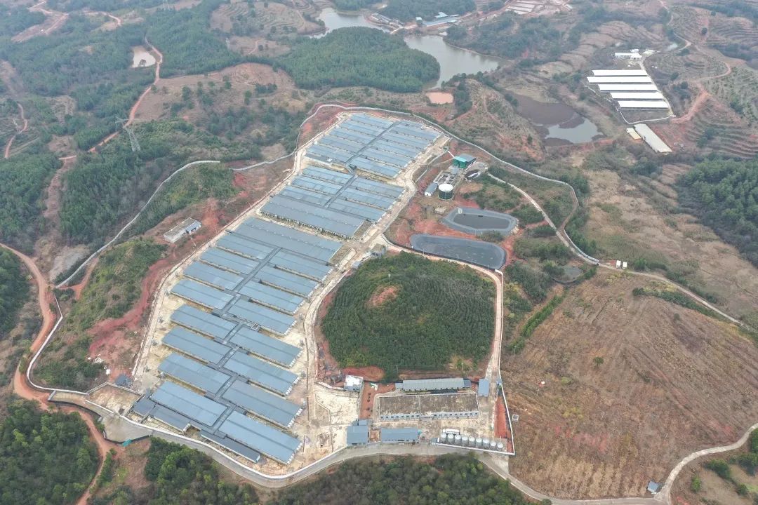 3118云顶集团(中国区)官方网站