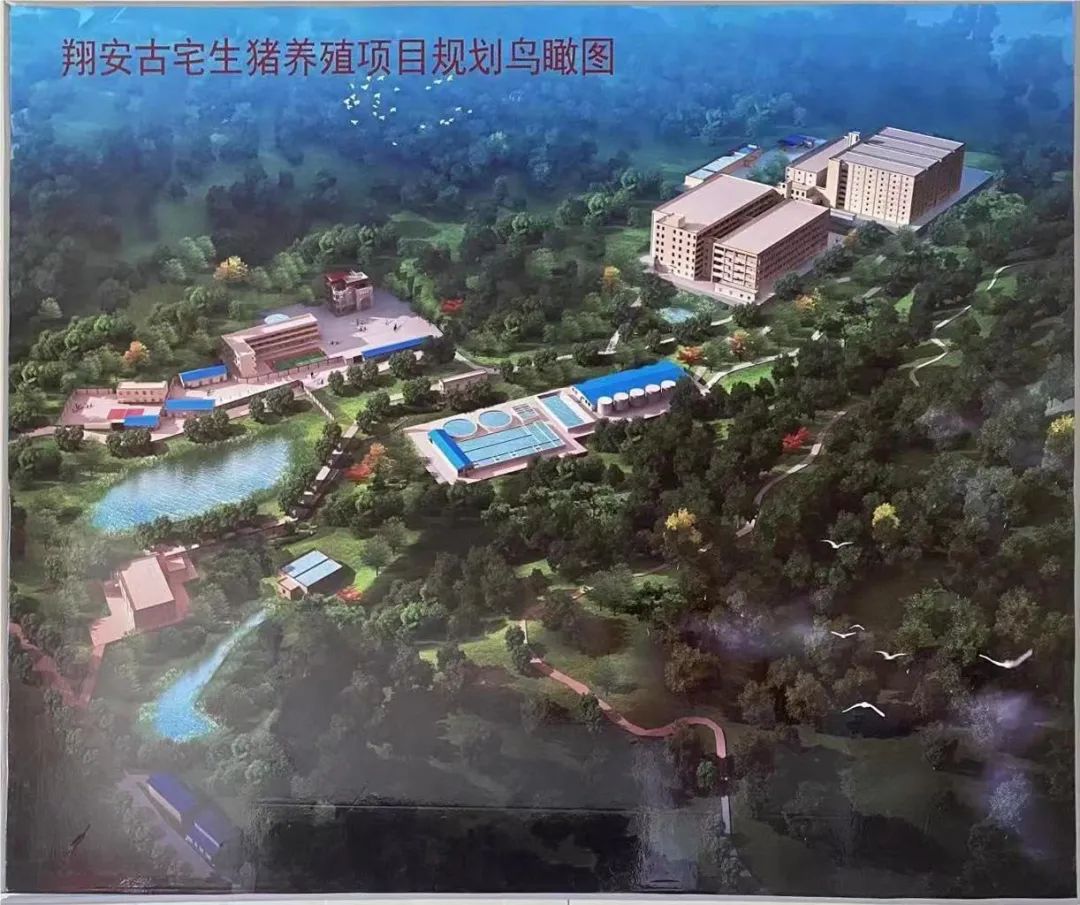 3118云顶集团(中国区)官方网站