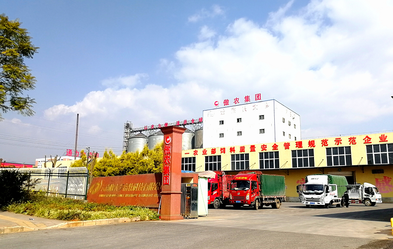 3118云顶集团(中国区)官方网站